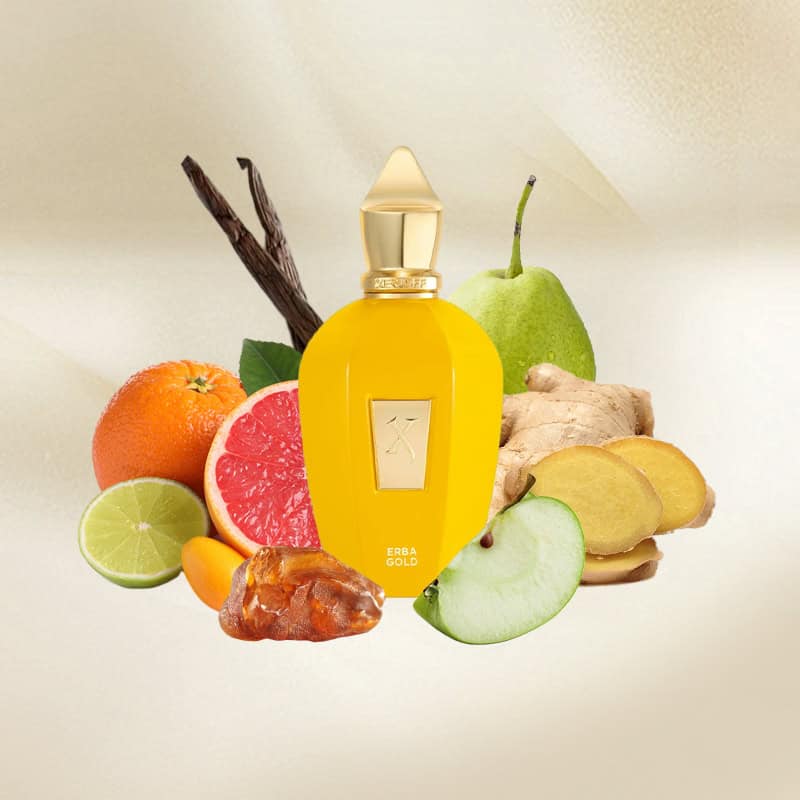 Fragancia unisex Xerjoff Erba Gold con notas de azafrán vainilla y ámbar