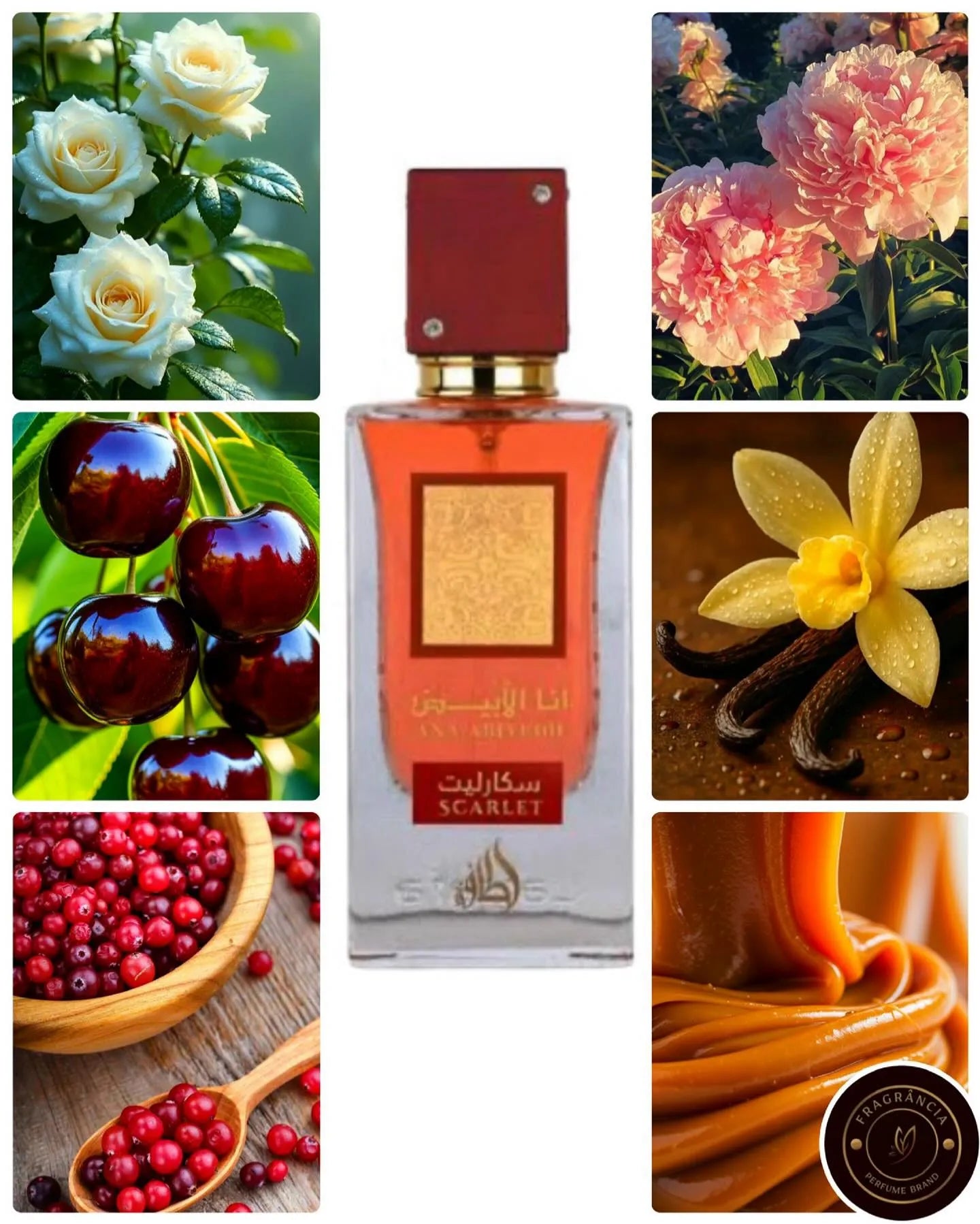 presentación del frasco del perfume lattafa ana abiyedh scarlet  para mujeres que lucen elegantes envase tapa roja