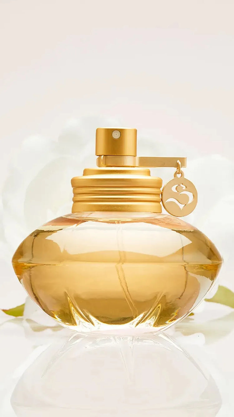 Colección de perfumes Shakira originales para hombre y mujer disponibles al por mayor y al detal