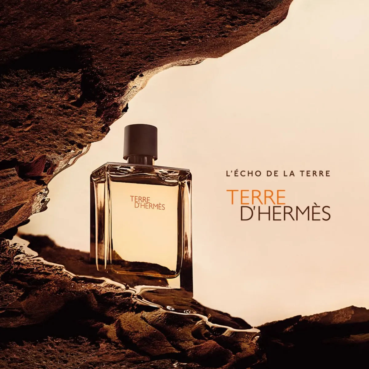 Caja original del perfume Terre d’Hermès Hermès 100ml EDT