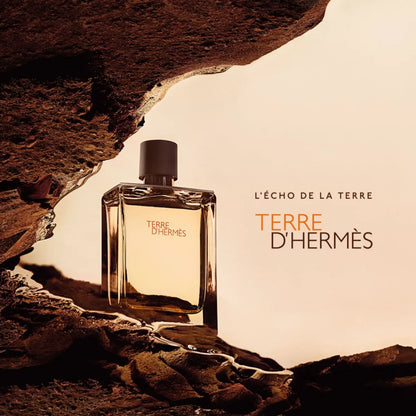 Caja original del perfume Terre d’Hermès Hermès 100ml EDT