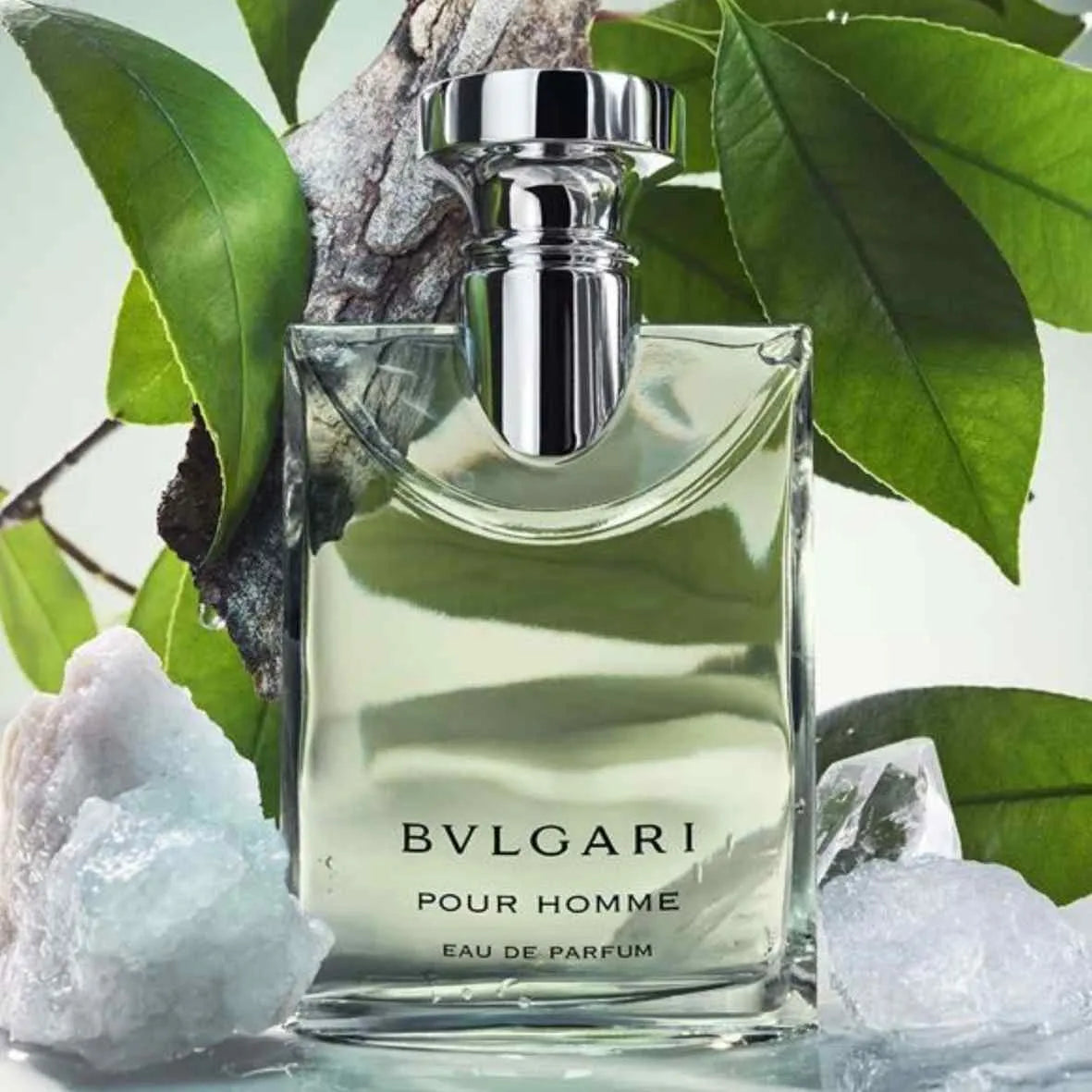 detalle del frasco del perfume para hombre pour homme eau de parfum de bvlgari