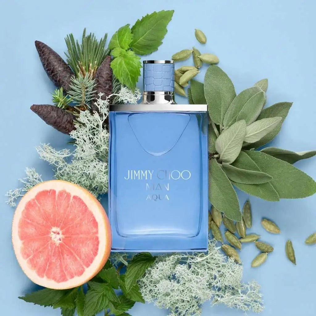 jimmy choo man aqua perfume masculino 100ml eau de parfum aroma aromático acuático con acordes marinos pachulí y musgo