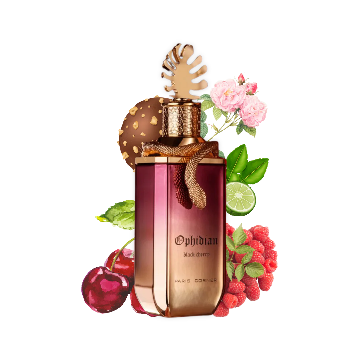 imagen completa del perfume paris corner Ophidian Black Cherry con frasco y caja en composición visual