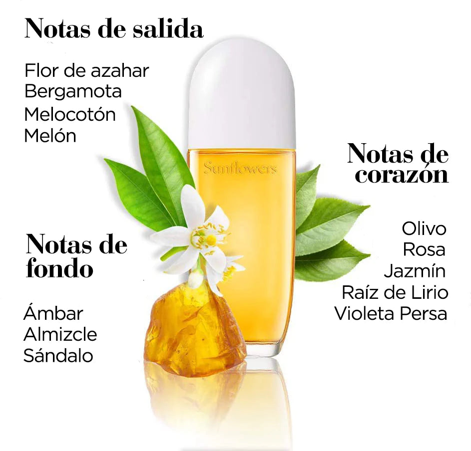 Vista frontal del frasco Sunflowers Elizabeth Arden Mujer con tapa blanca y tono dorado