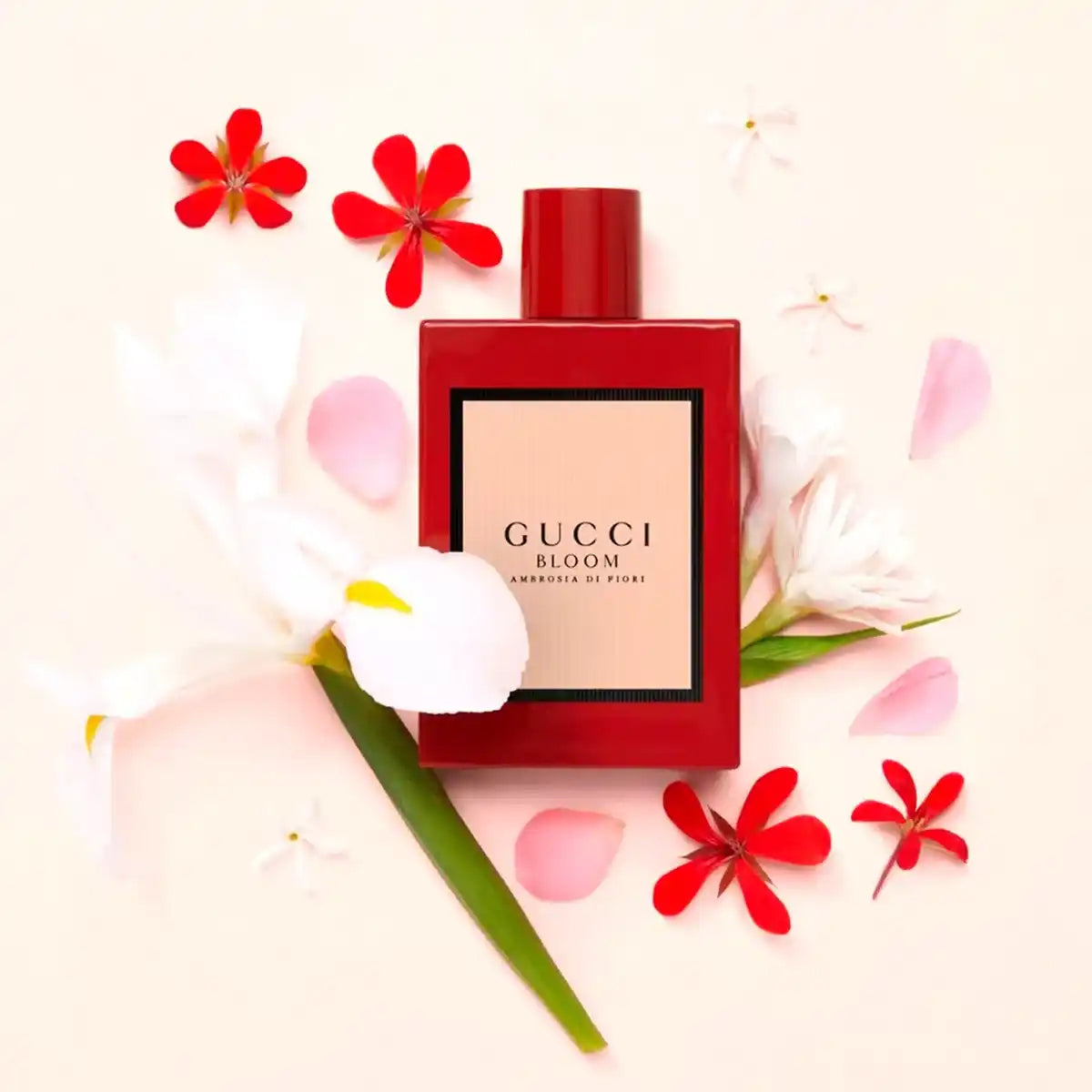 Vista previa del perfume Gucci Bloom Ambrosia di Fiori EDP Intense 100 ml para mujer