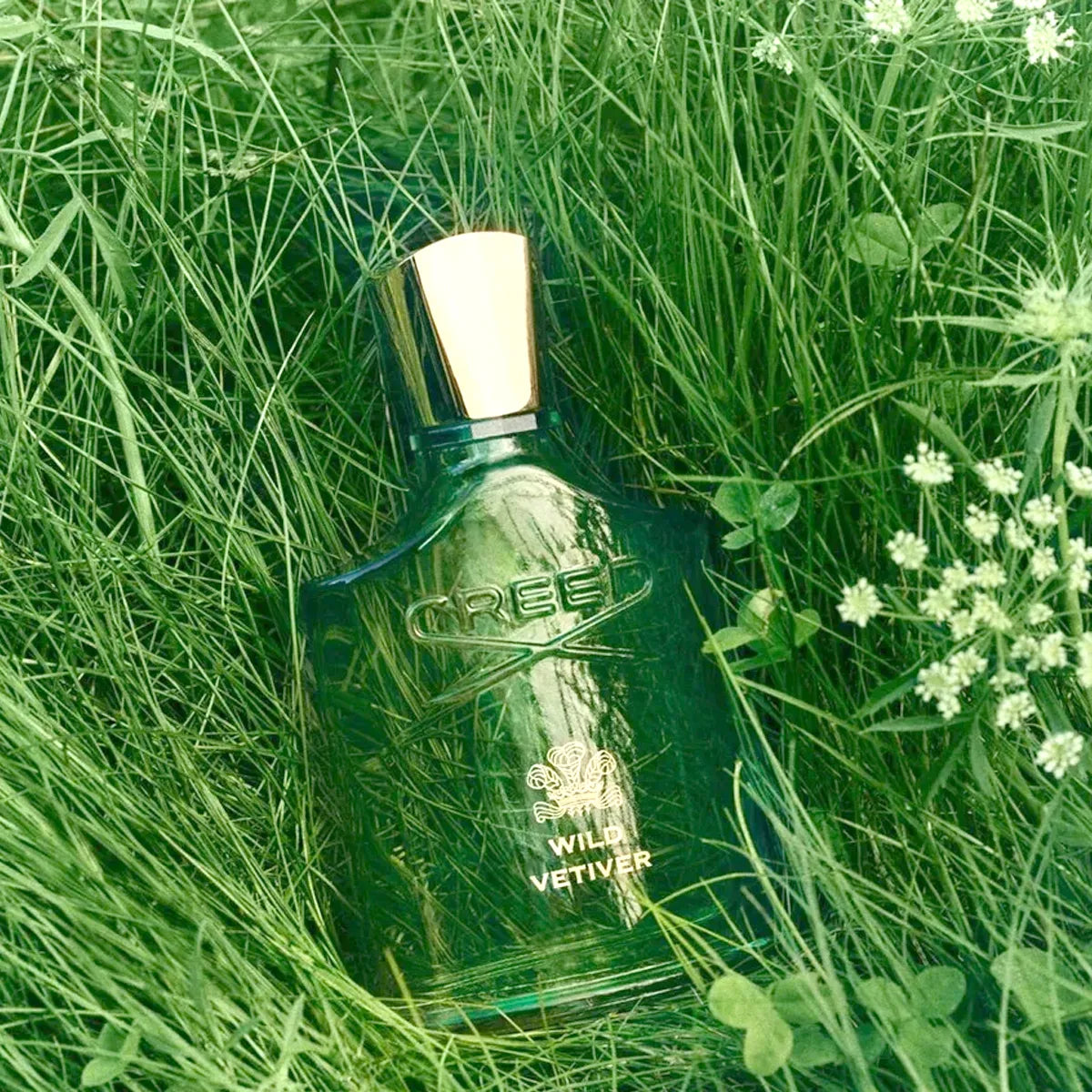 Vista frontal del perfume Creed Wild Vetiver Eau de Parfum
